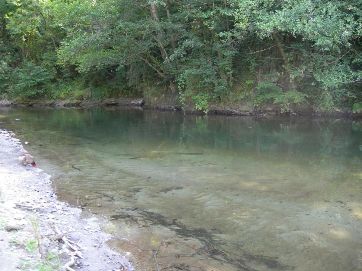 Appartement Les Rives De L'Ariege Luzenac Buitenkant foto