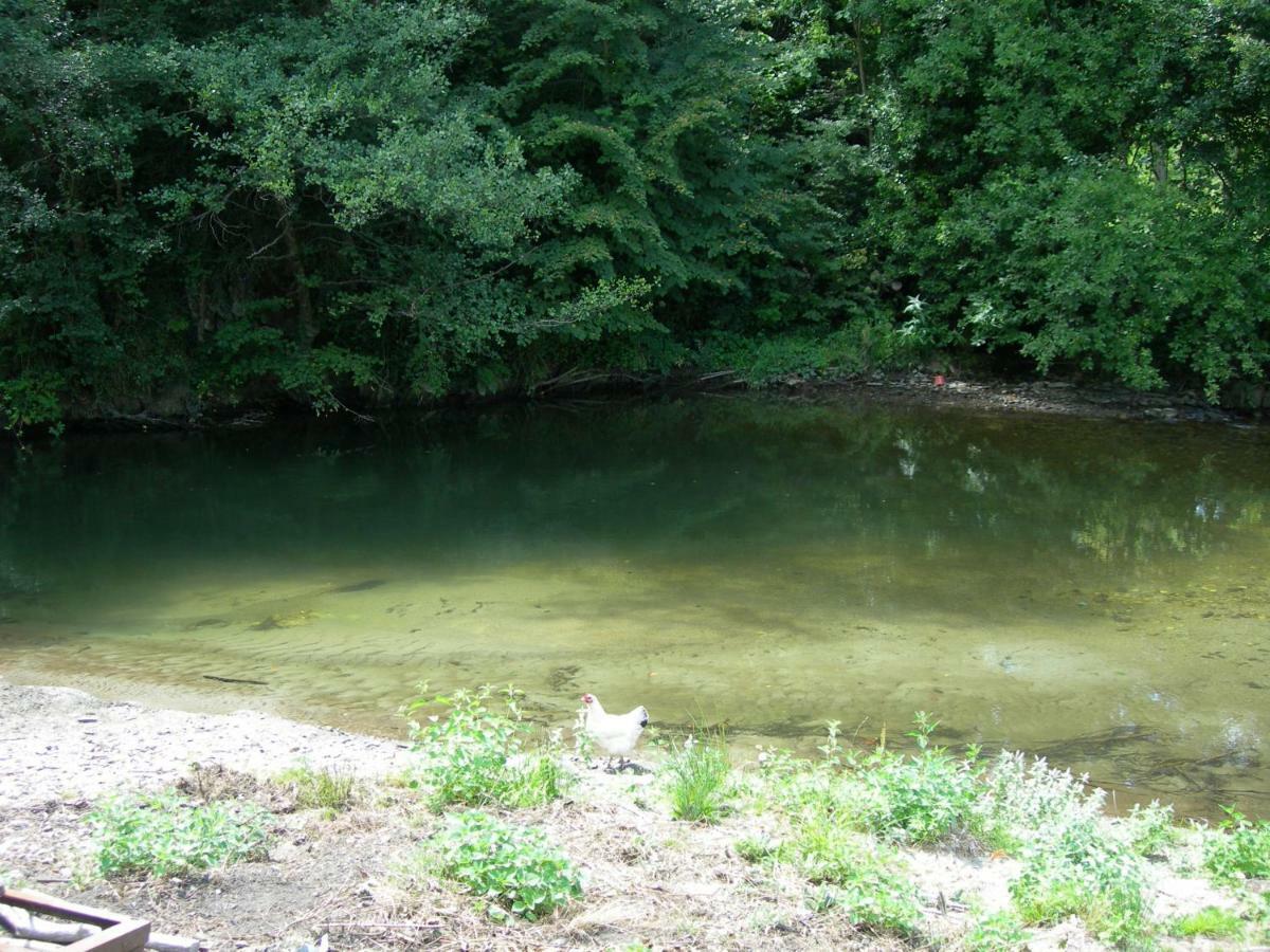 Appartement Les Rives De L'Ariege Luzenac Buitenkant foto